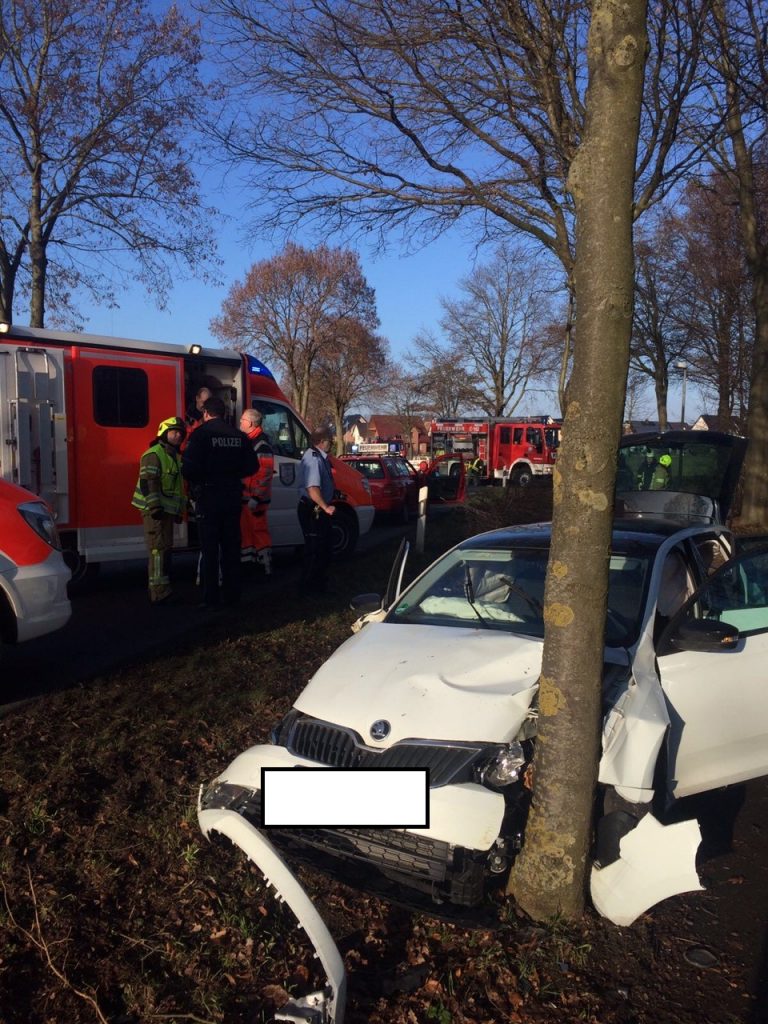 Löschzug Ostenland - Hilfeleistungseinsatz