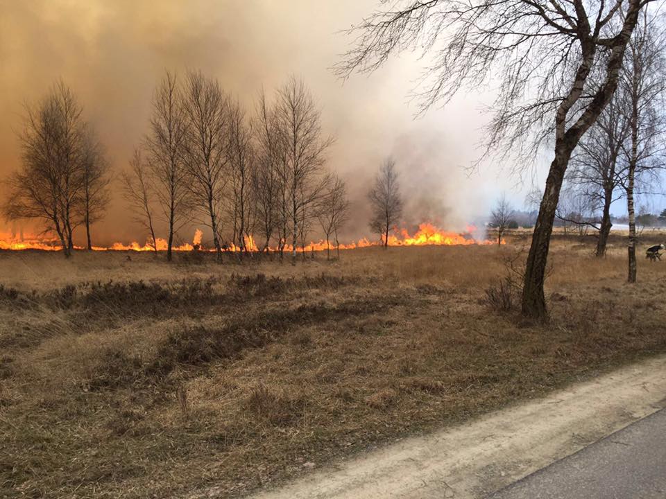 Brand auf Truppenübungsplatz Senne