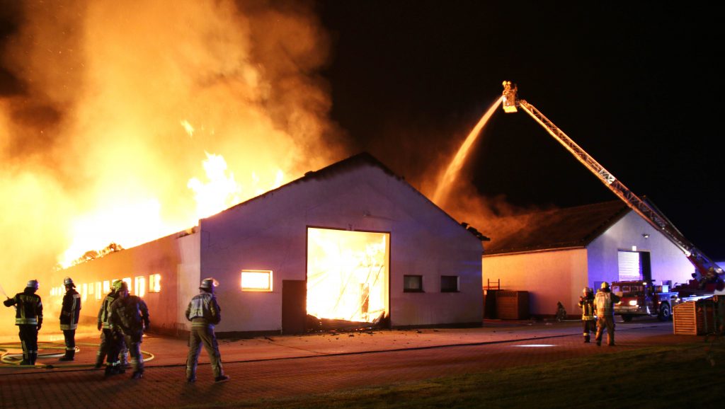 Großfeuer vernichtet Holzlagerhalle